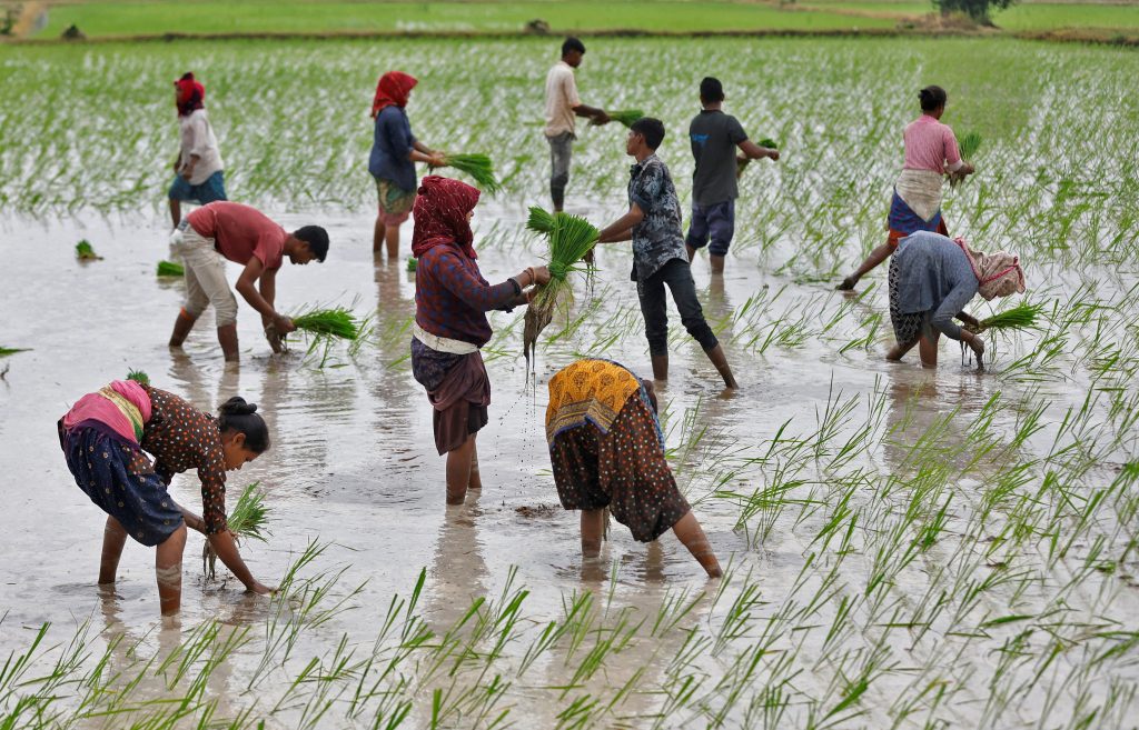agri2