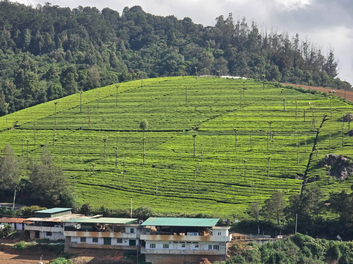 Paradise Tours and Travels, Gulbarga